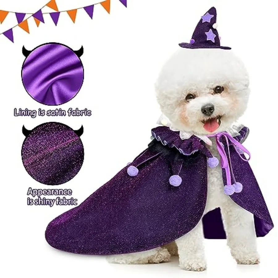 Pet Halloween Costume with Hat
