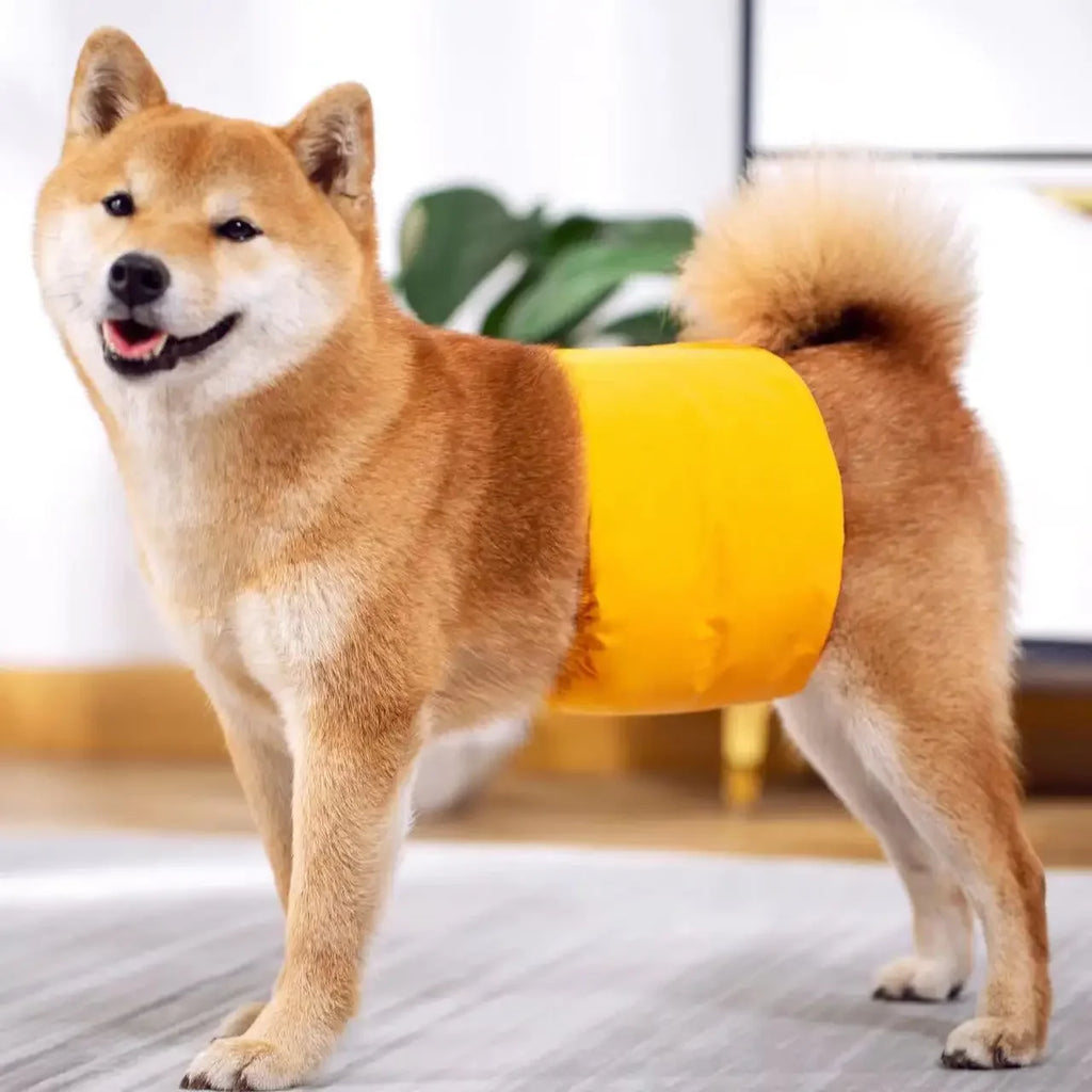 Reusable Male Dog Belly Bands