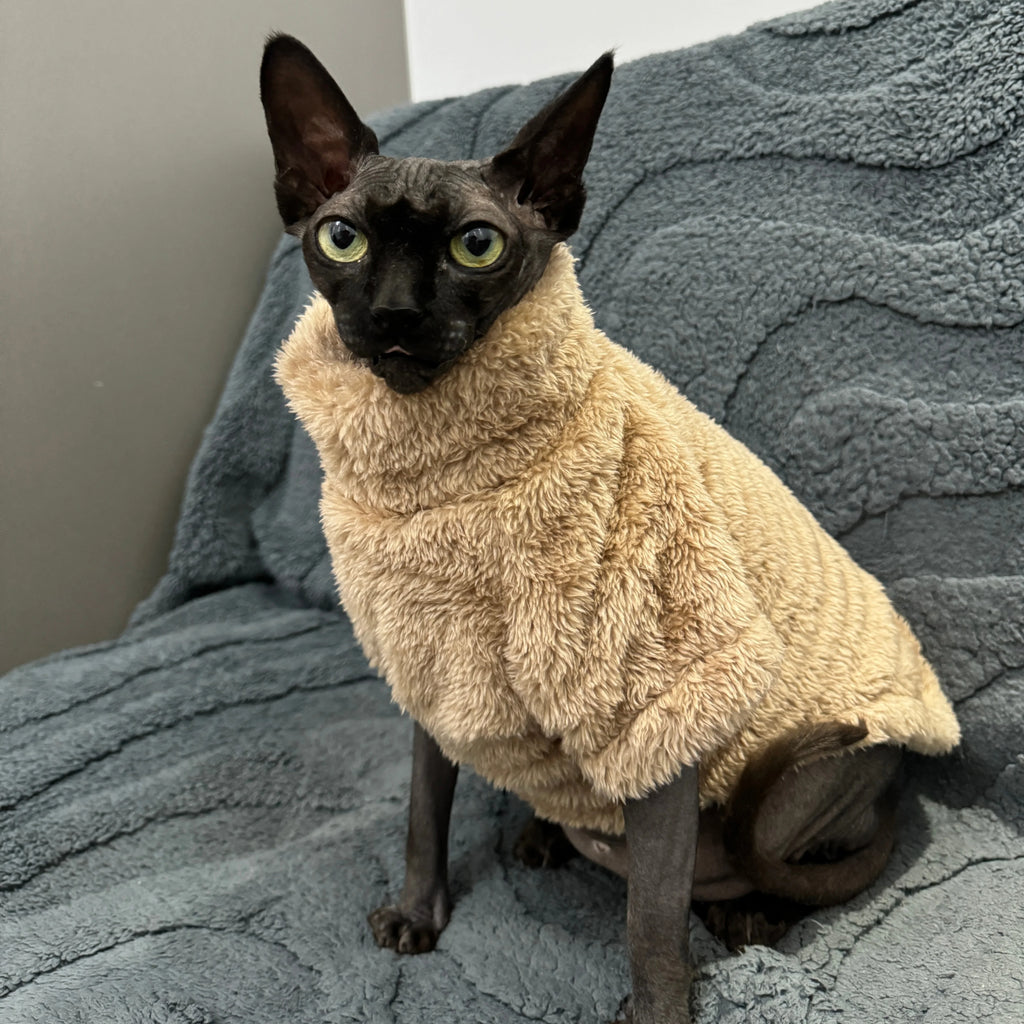 Pet Cat Sweater Home Fur for Devonshire Cats, Hairless Cats