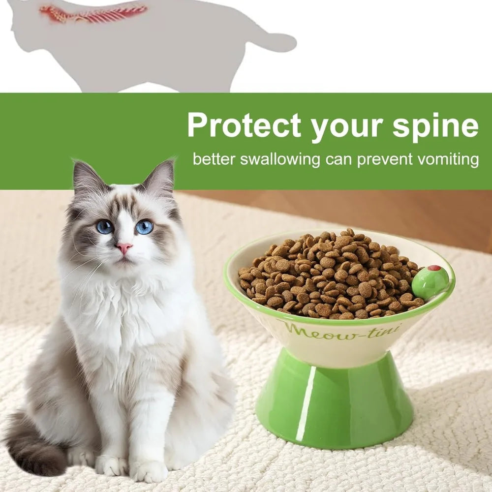 Elevated Whisker Friendly Ceramic Raised Cat Bowl