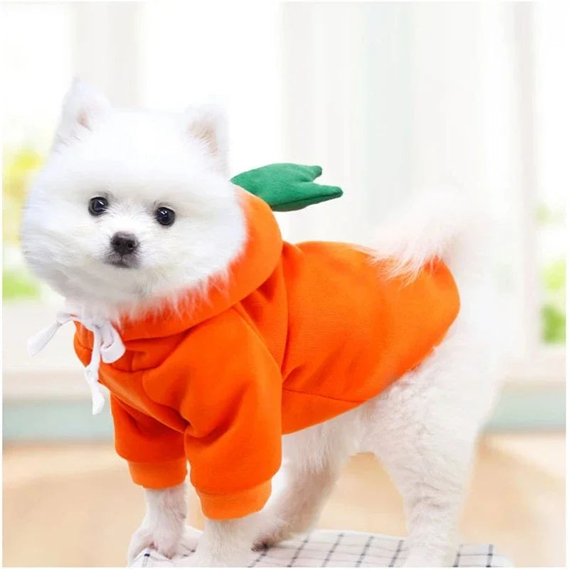 Cute Fruit Dog Clothes for Dogs/Cats
