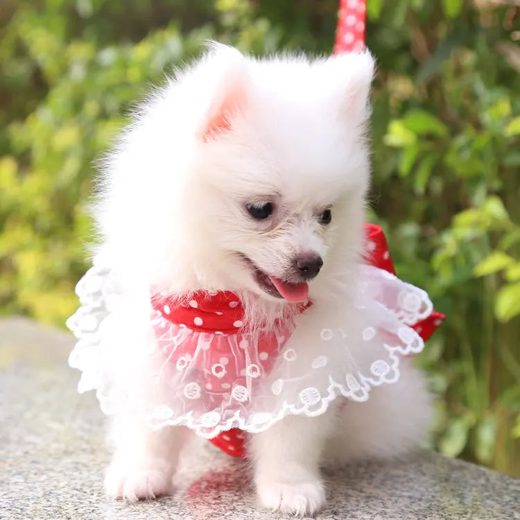 Dog/Cat Harness/ Vest Leash               Soft Breathable Dog Harness Nylon clothes leash for Dogs Puppy Collar Cat Pet Dog Chest Strap