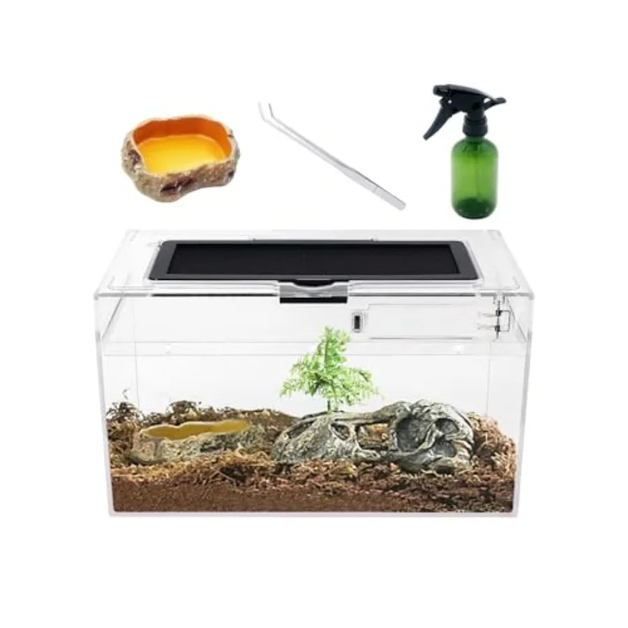 Mini Reptile Terrarium Set 12 x 7 x 6 Low Profile Reptile Tank with Full View Design for Insects Fish Tarantulas Hermit Crabs J