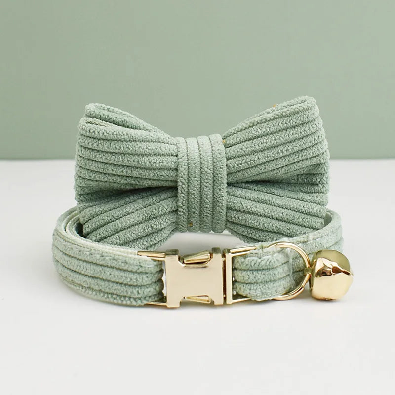 Personalized Cat Collar
