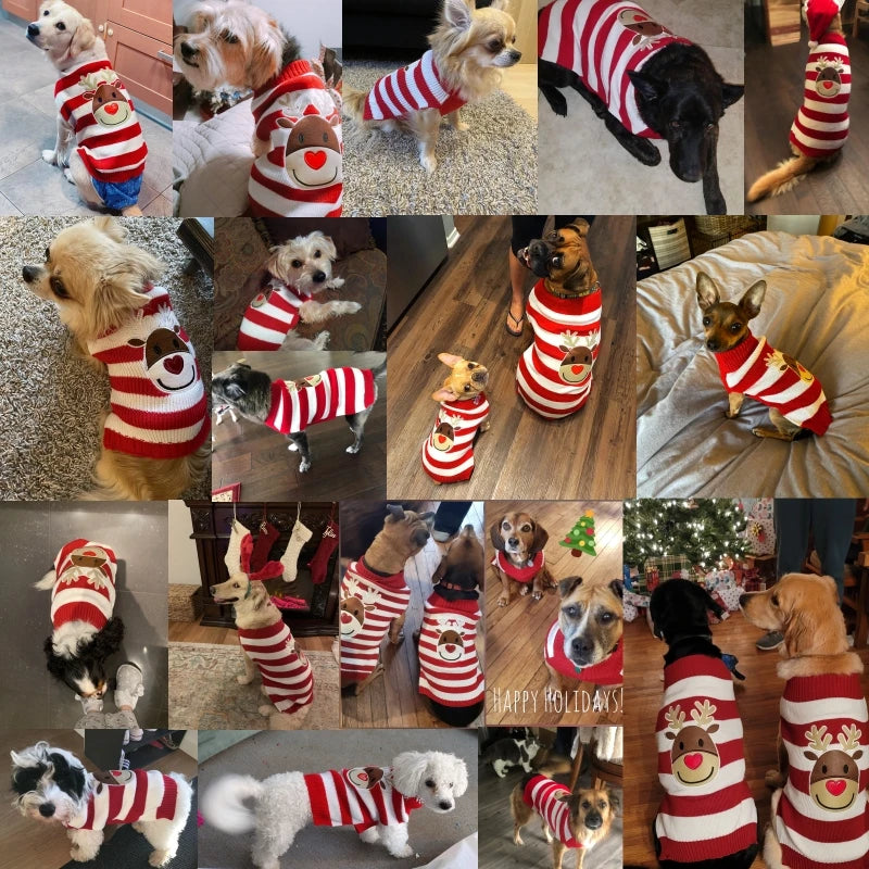 Christmas Warm Clothes for Dogs