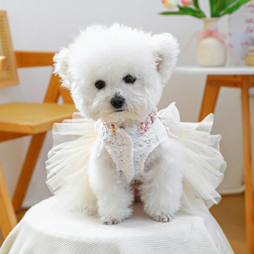 New Fashion Spring /Summer Tutu Dress
