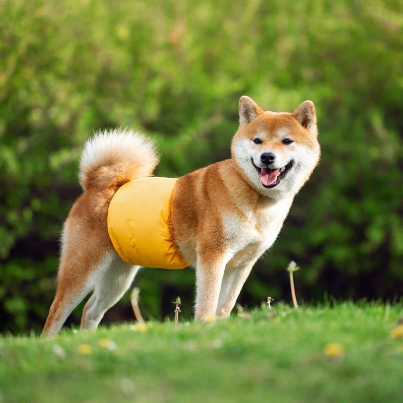 Reusable Male Dog Belly Bands