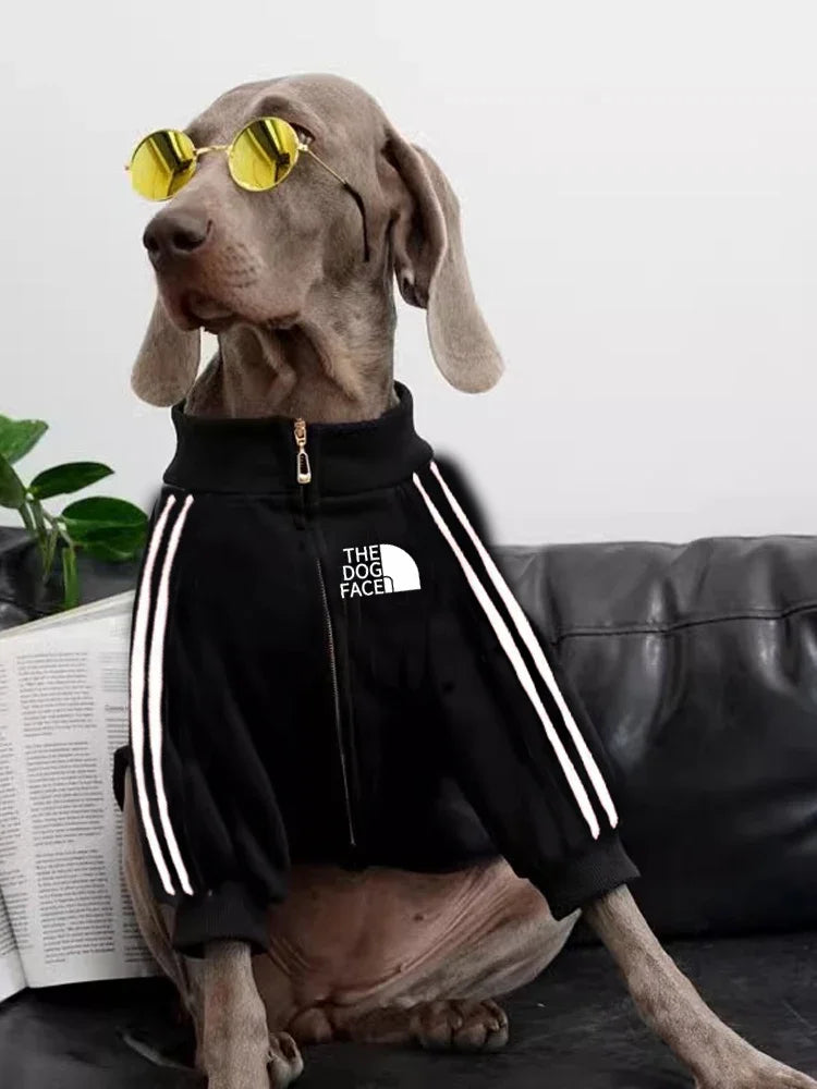 Small, Medium, Large Pets Jacket Clothing