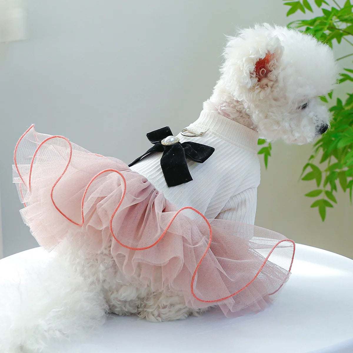 Spring/ Summer Dog  Tutu Princess Dress