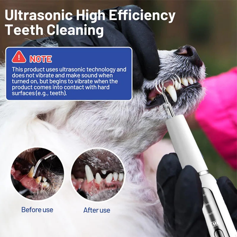 Dog Tooth Calculus Device Ultrasonic Toothbrush