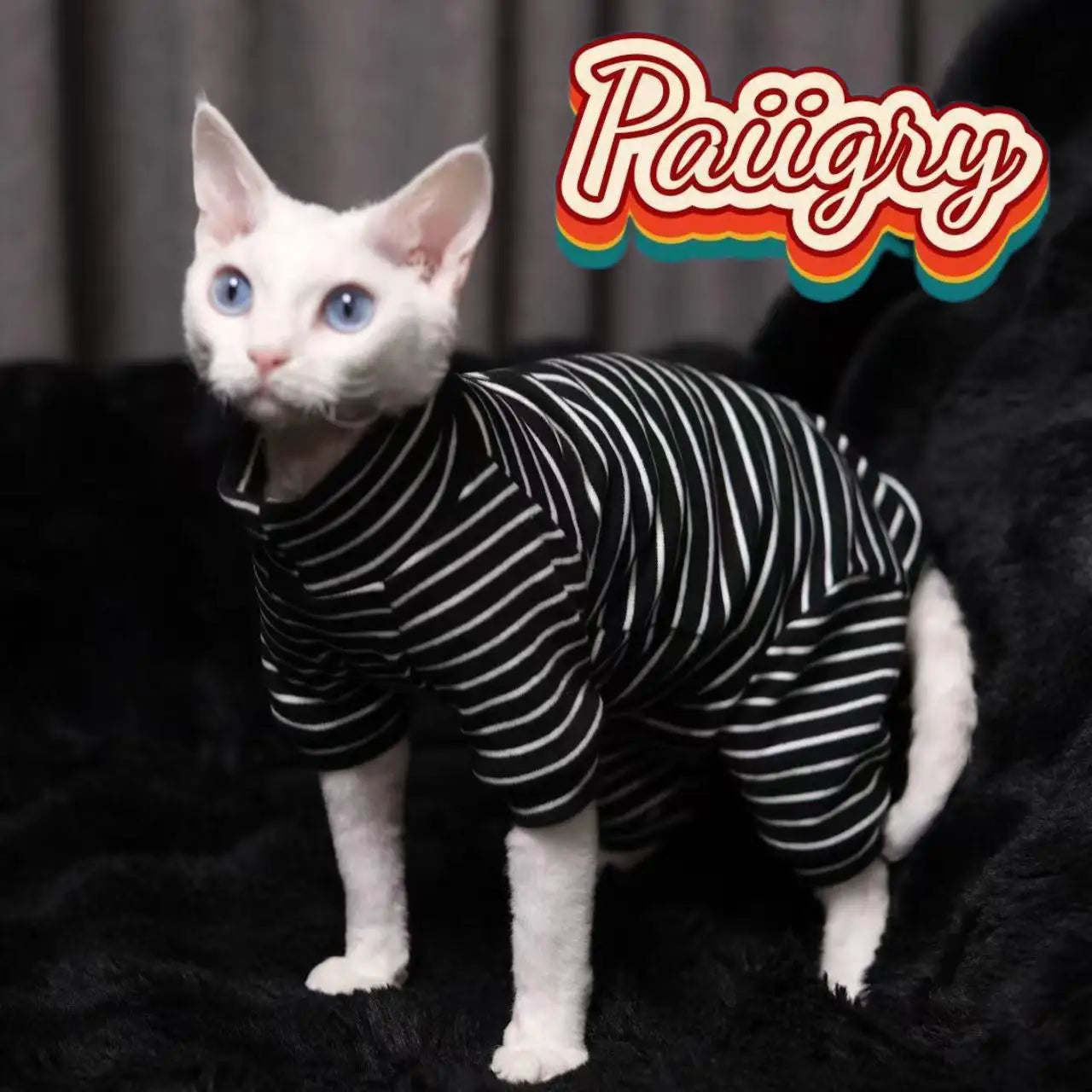 Hairless Cat Tricolor Four-Legged Clothes