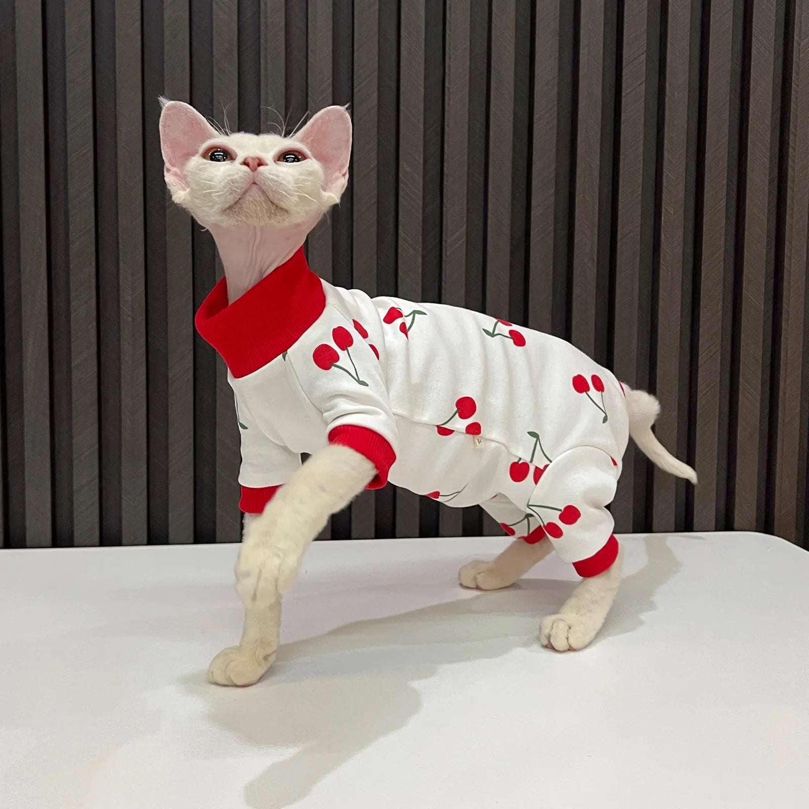 Cartoon Quadruple Cherry Print Hairless Cat Clothes