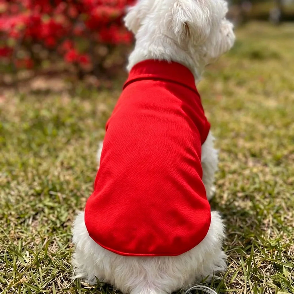 Puppy/Kitten Thin Breathable T- Shirt