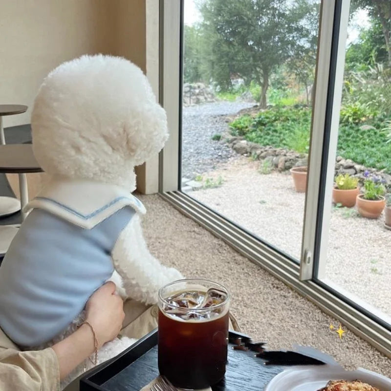 Cute Dog Vest T-Shirt Puppy Clothes Sweatshirt