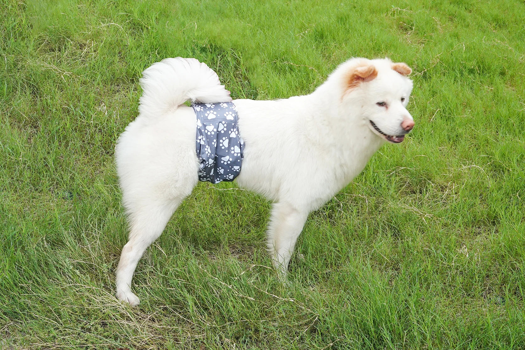 1pc Durable Washable Male Dog Diaper Wraps