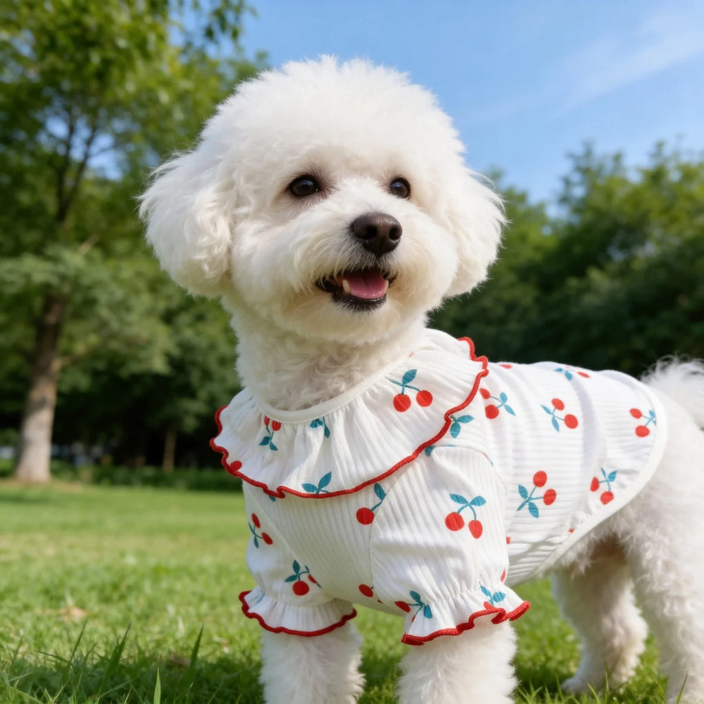 Clothes for Small Dogs/Cats Ruffle Collar