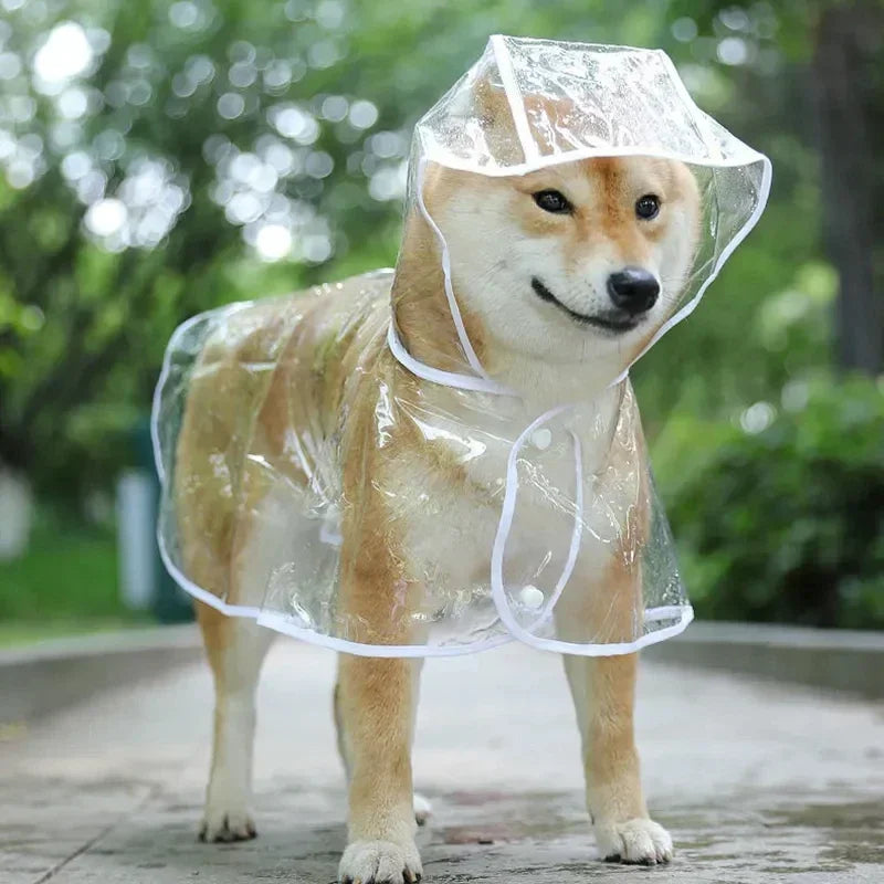 Waterproof Hooded Raincoat for Small Dogs