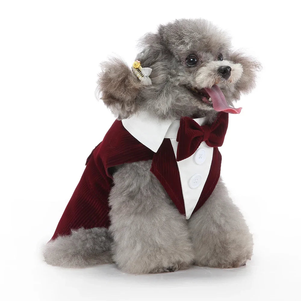 Christmas Dog Costume  Apparel