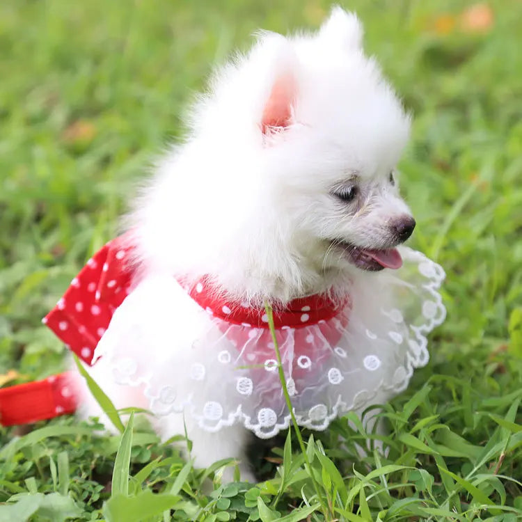 Dog/Cat Harness/ Vest Leash               Soft Breathable Dog Harness Nylon clothes leash for Dogs Puppy Collar Cat Pet Dog Chest Strap