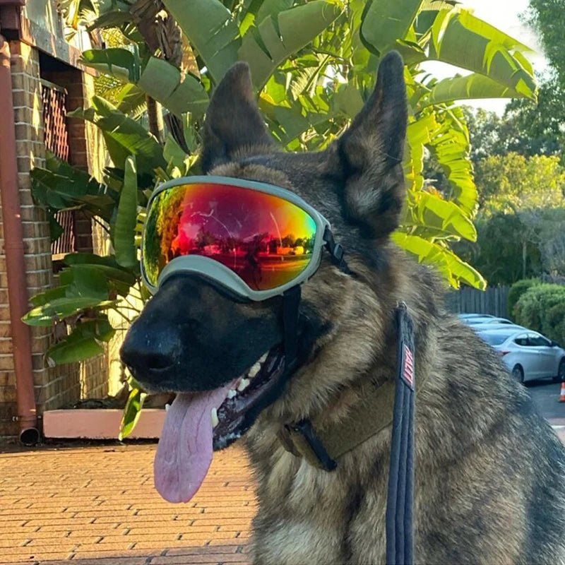 Dog Goggles Anti-UV Sun Glasses