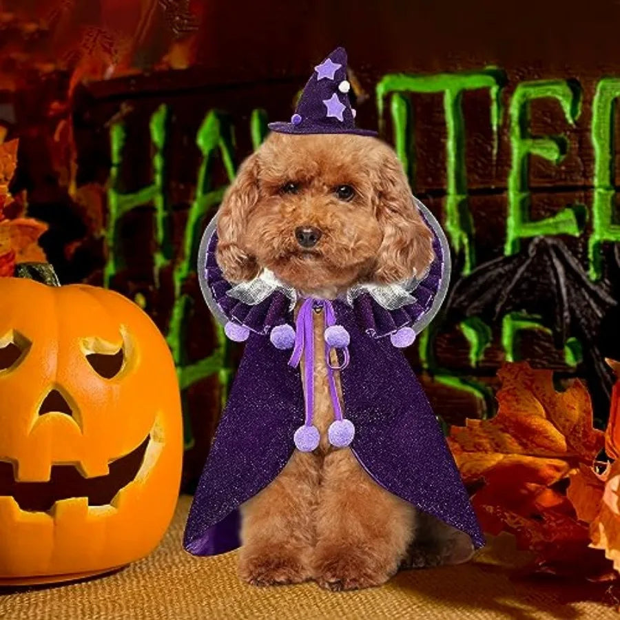 Pet Halloween Costume with Hat