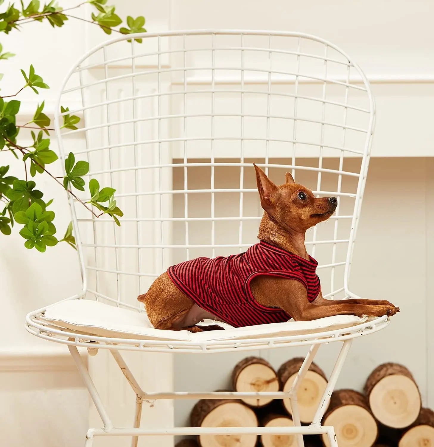 Striped Cotton Dog T-Shirt, Breathable Soft Vest