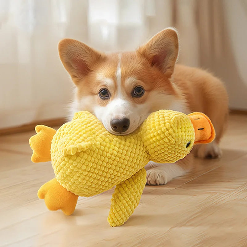 Indestructible Cat/ Dog Toys for Aggressive Chewers