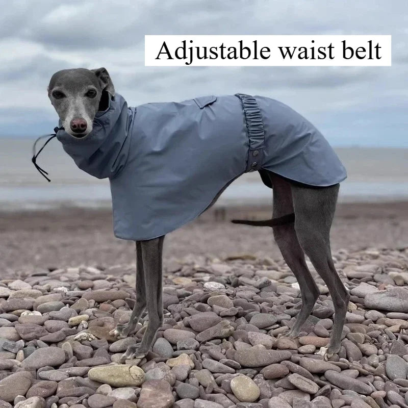 Waterproof Dog Raincoat, Luxury Whippet Greyhound Dog Raincoats Jacket Doberman Pinscher Raincoat Outdoor Walking