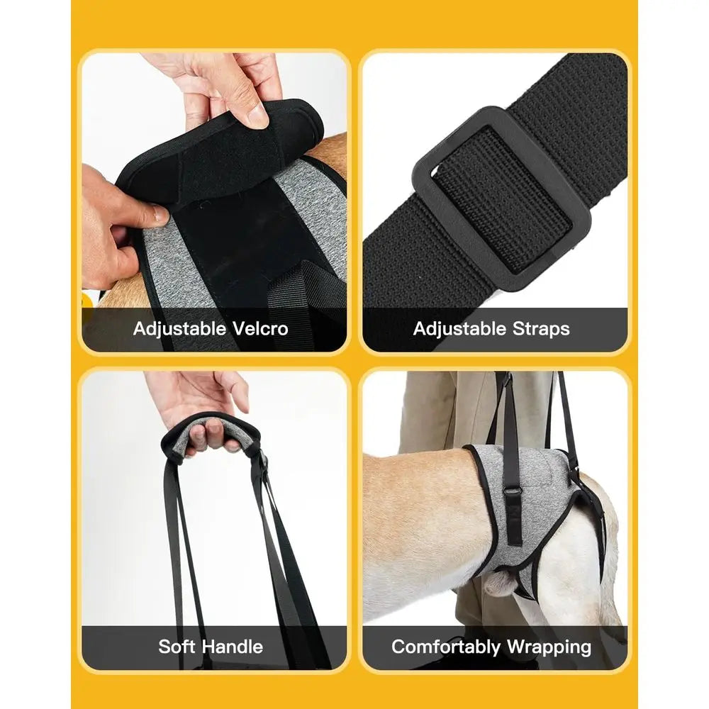 Adjustable Padded Harness for Elderly Dog