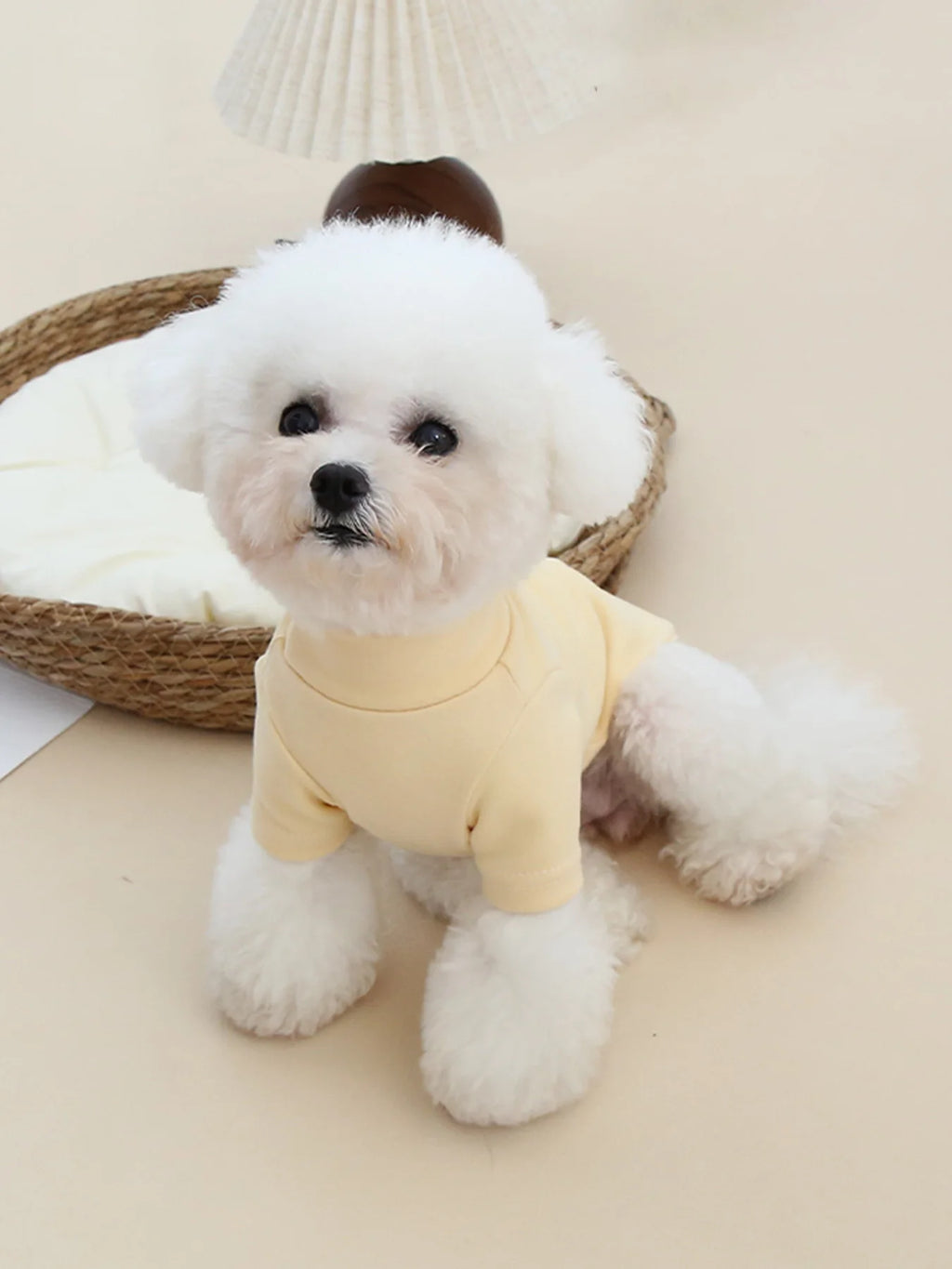 Autumn and Winter Pet Solid Color Warm Hoodie