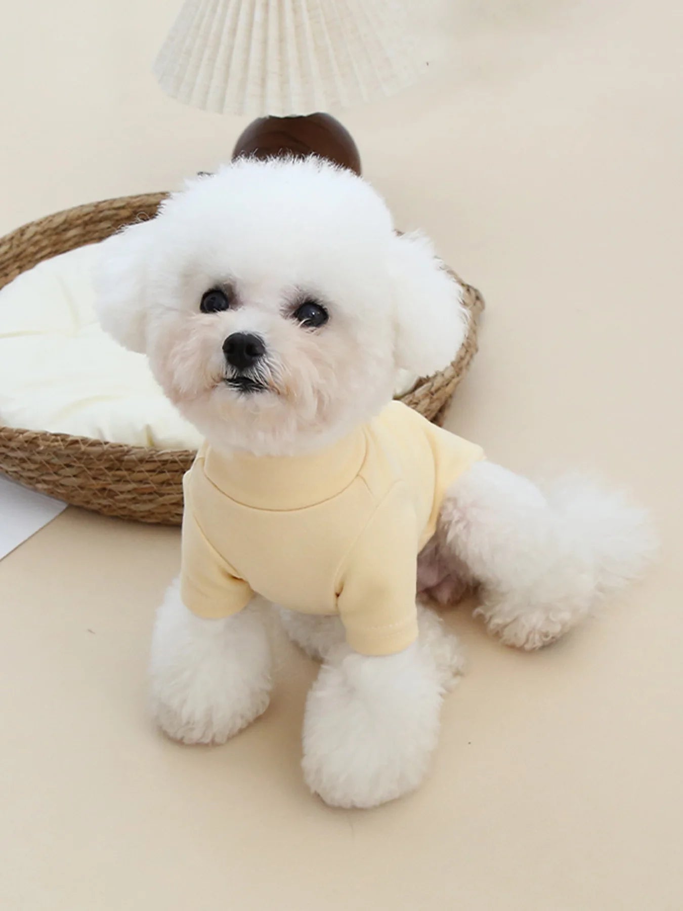 Autumn and Winter Pet Solid Color Warm Hoodie