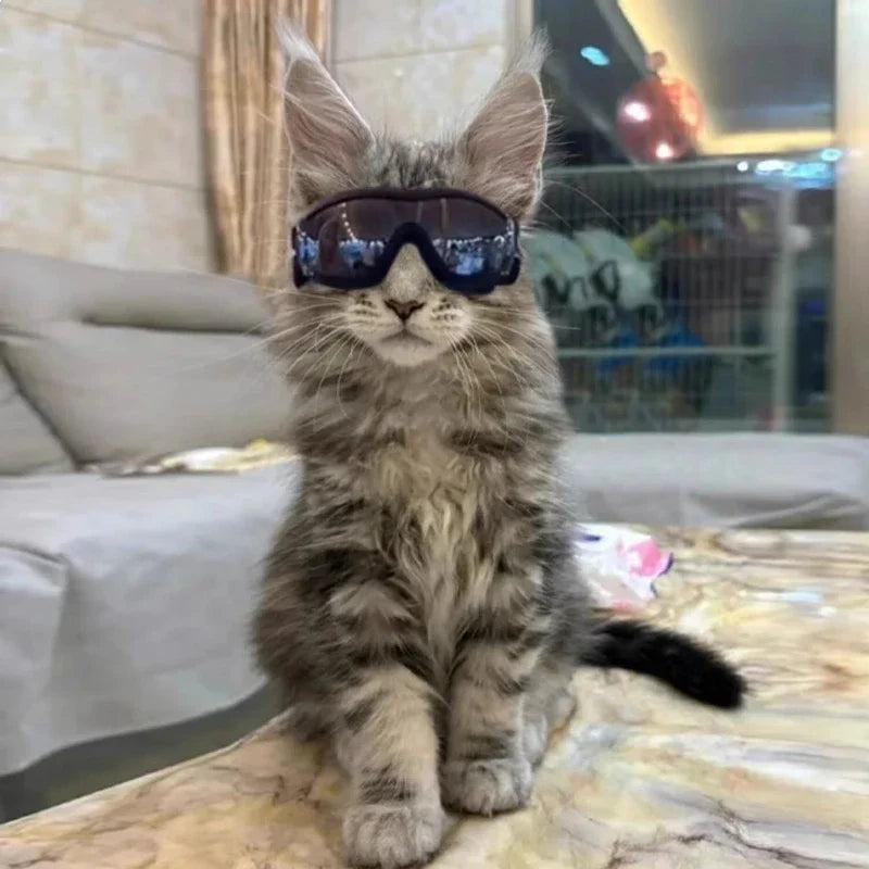 Goggles/Sunglasses for Small Breed Dog/Cat    UV Sunglasses, Windproof, Soft Frame, Adjustable Straps for Small/Medium Dogs/Cats