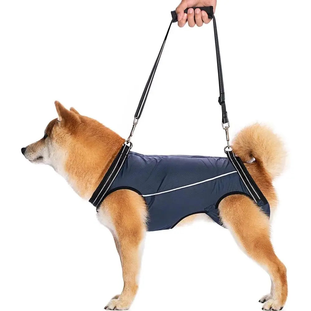 Supportive Harness for Small to Medium Dogs