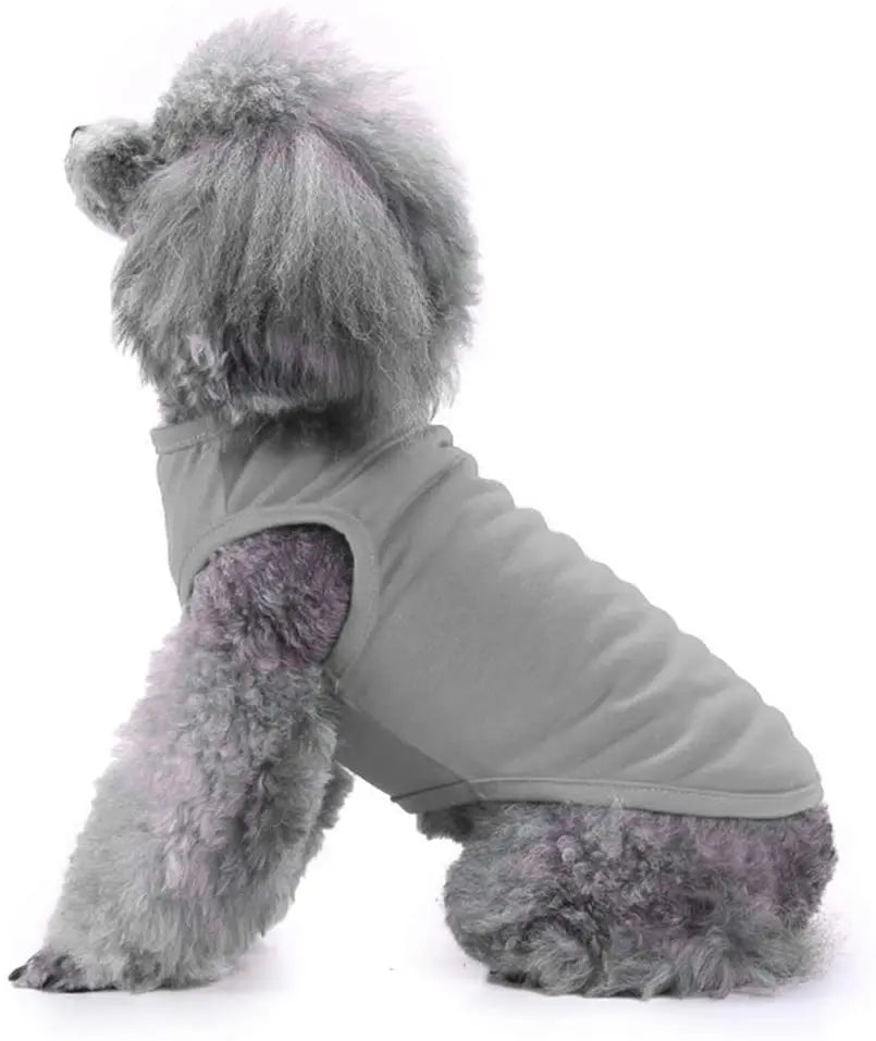 Dog Shirt Clothes, Spring/Summer T- Shirt Apparel