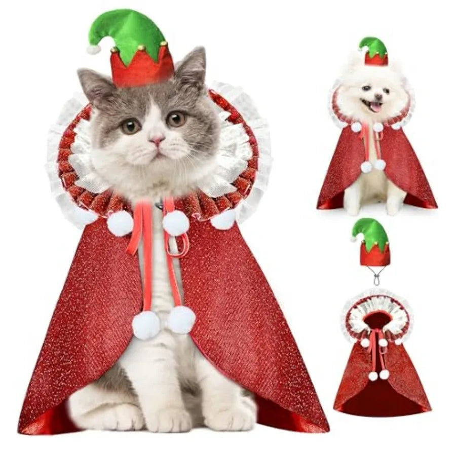 Pet Halloween Costume with Hat