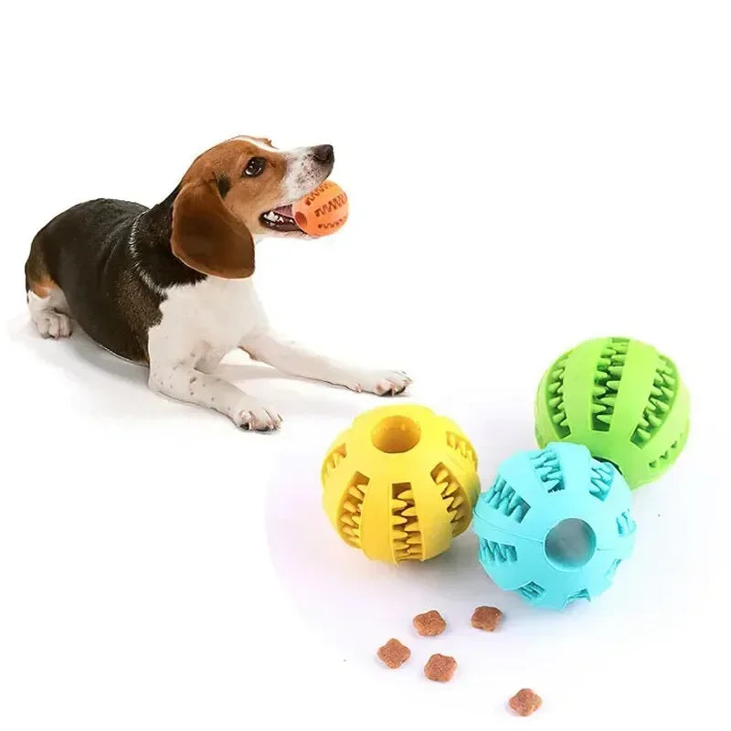 Nontoxic Bite Resistant Toy Ball for Pets