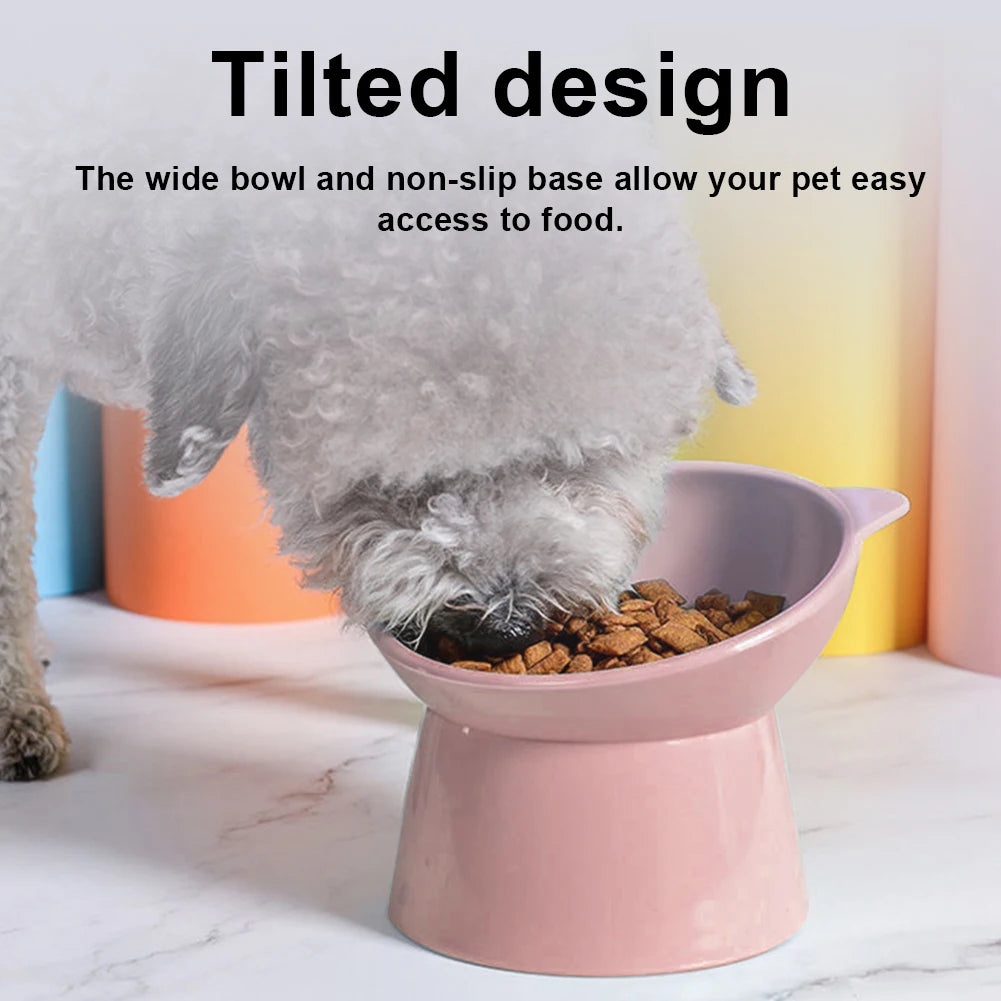 Tilted Cat/Dog Food Bowl