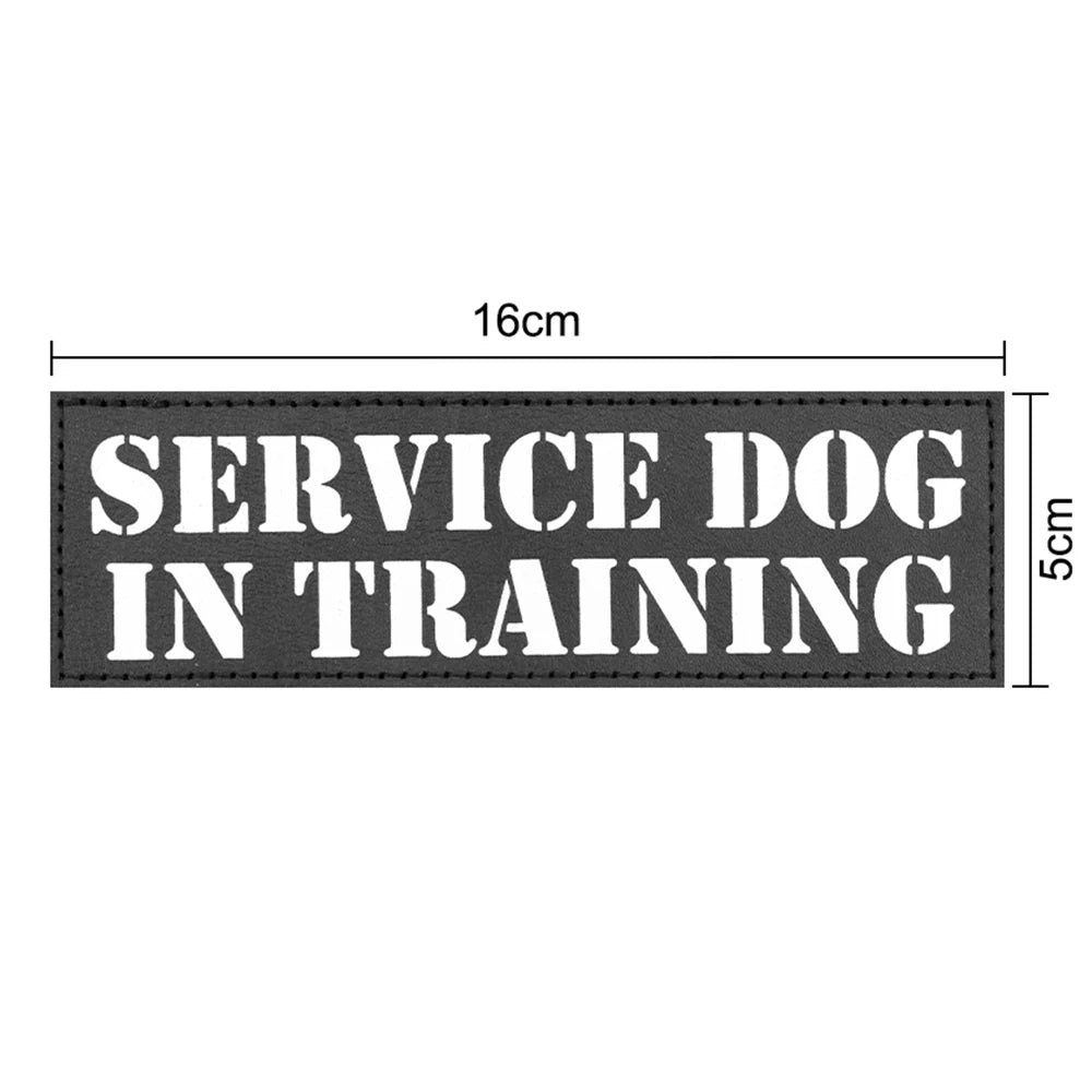 12 Pieces Tactical Patch Bundle