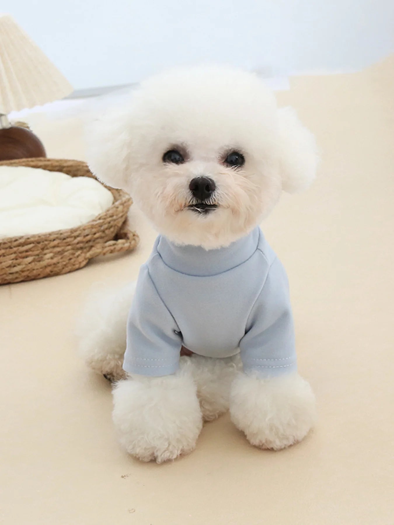 Autumn and Winter Pet Solid Color Warm Hoodie