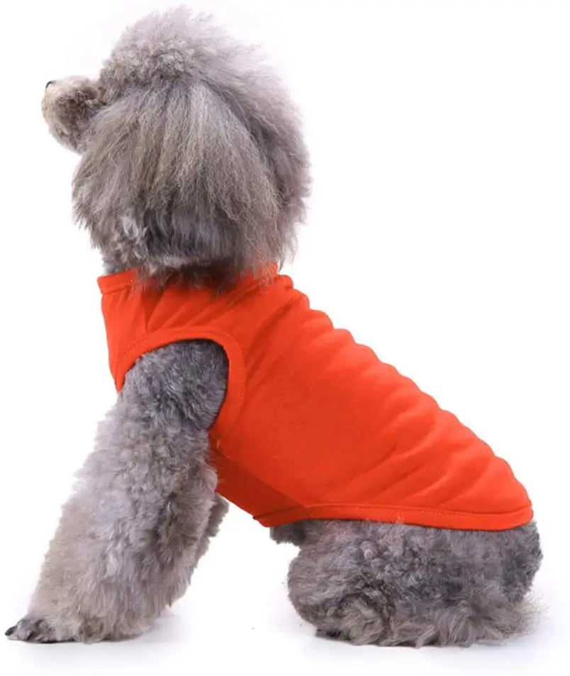 Dog Shirt Clothes, Spring/Summer T- Shirt Apparel
