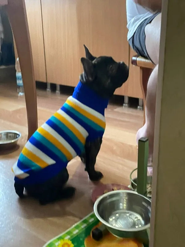 Warm Pet Dog/Cat Sweater, Winter Dog Clothes