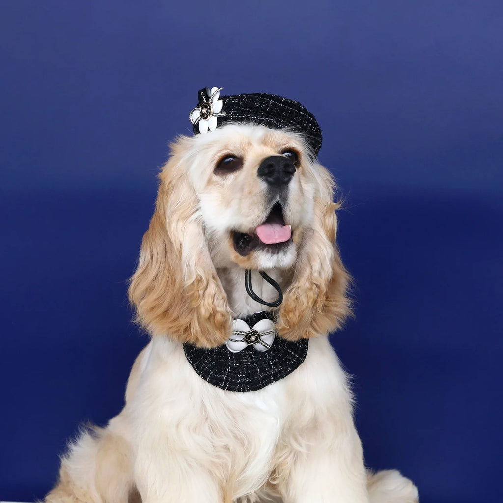 Quality Pet Hat Weaving Small Fragrant Flower Bud Hat Bow Lace Bib Pet Cat Dog Accessories Camellia Set Party Dressing Supplies