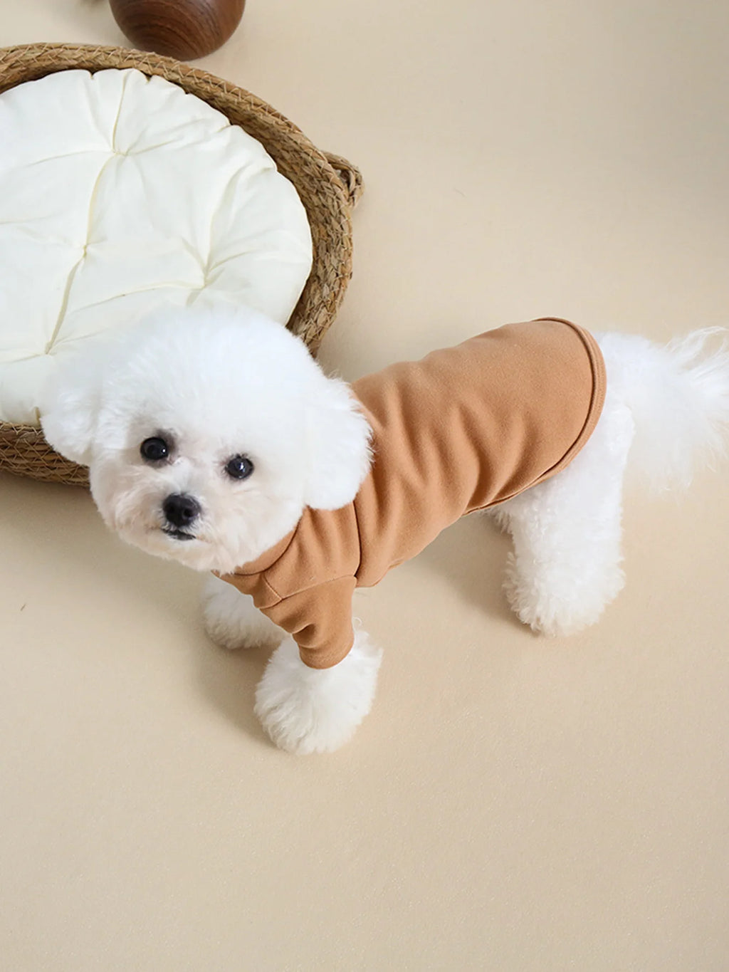 Autumn and Winter Pet Solid Color Warm Hoodie