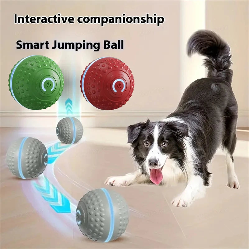 Smart Pet Toy Ball Automatic, Interactive, Rechargeable