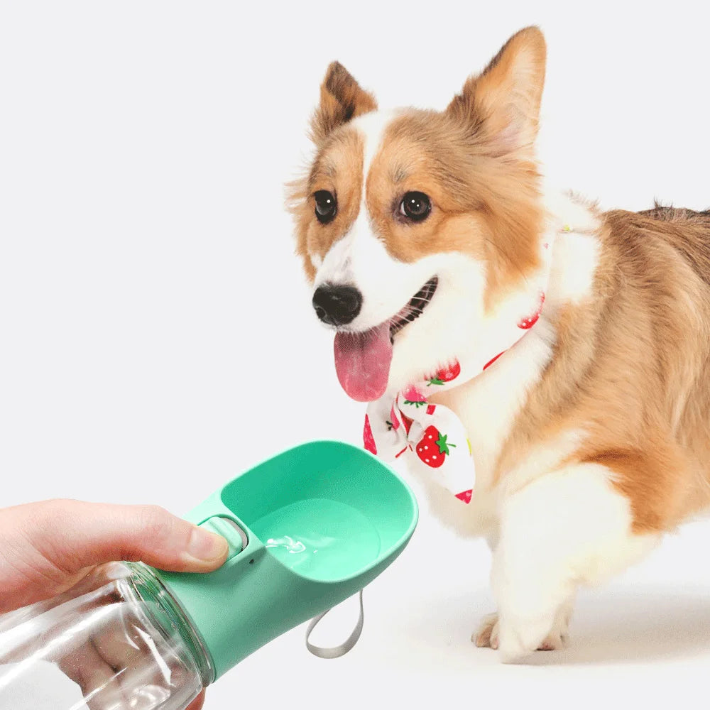 Portable Water Bottle,  Leakproof Drinking Bowls