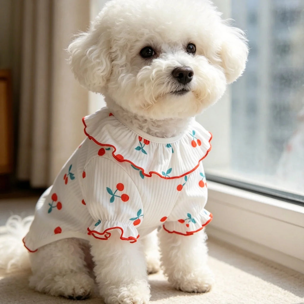 Clothes for Small Dogs/Cats Ruffle Collar