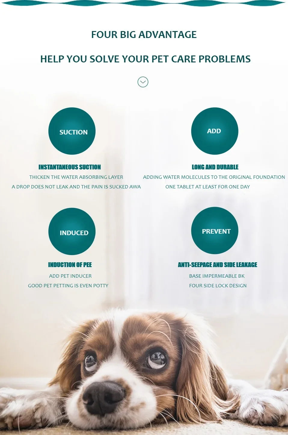 Dog Pee Pad Blanket Reusable, Absorbent Diaper