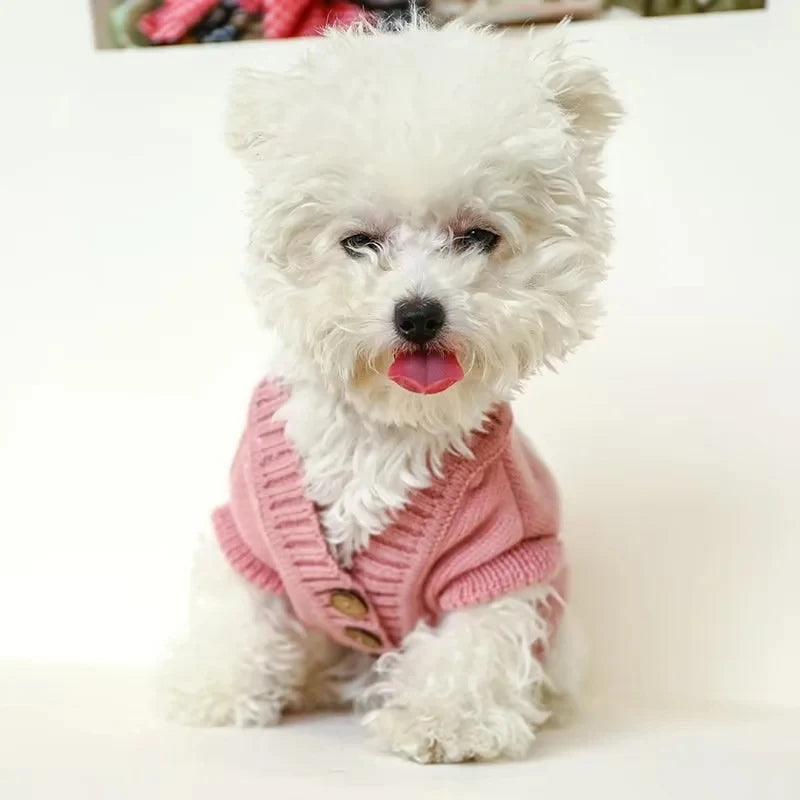 Cute Rabbit Pet Sweater Autumn Winter Dog Cat Clothing Warm Blue Sweater Teddy Bichon Sweater For Small Dogs Pullover Cardigan