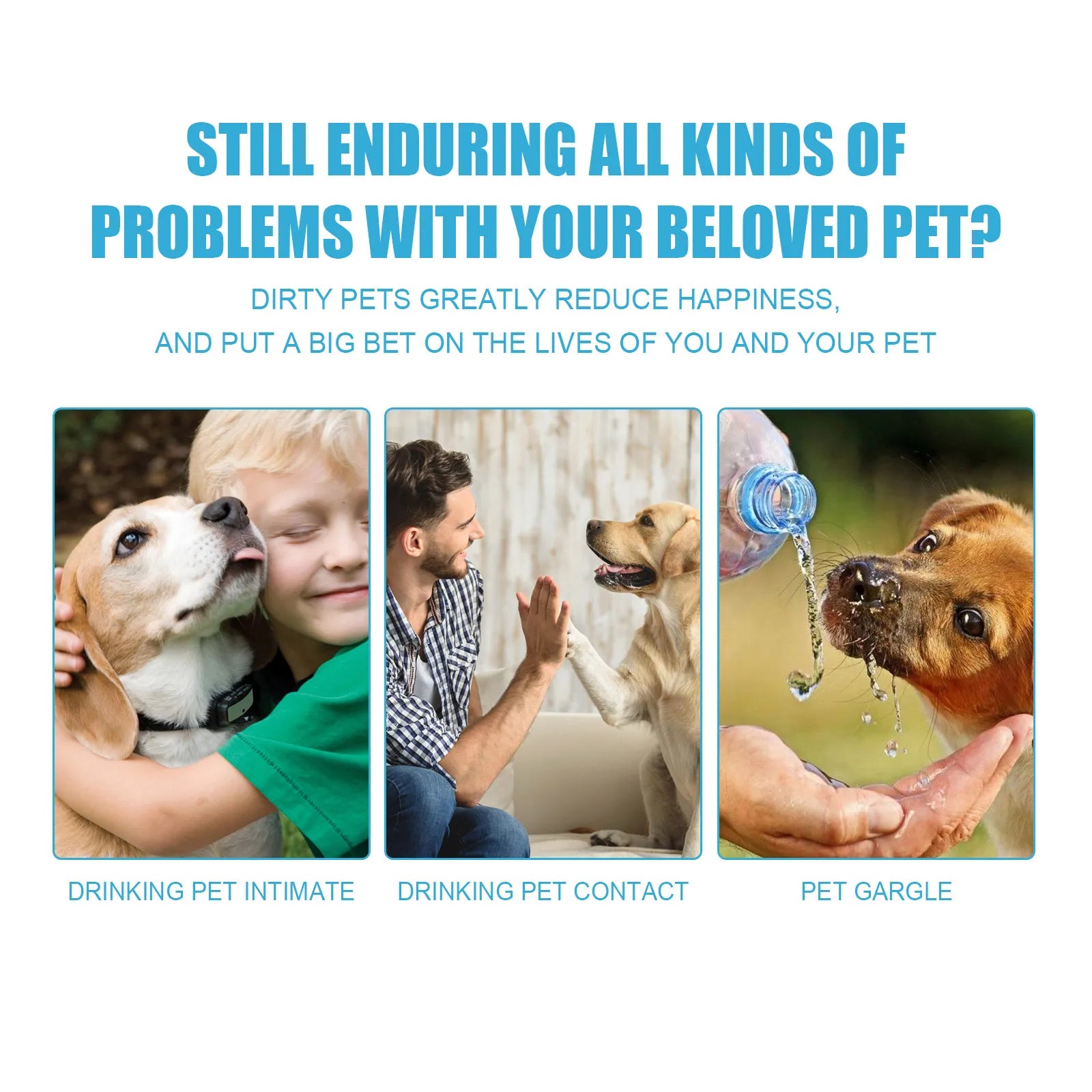 Pet Toothpaste Removes Plaque   Whitens Teeth