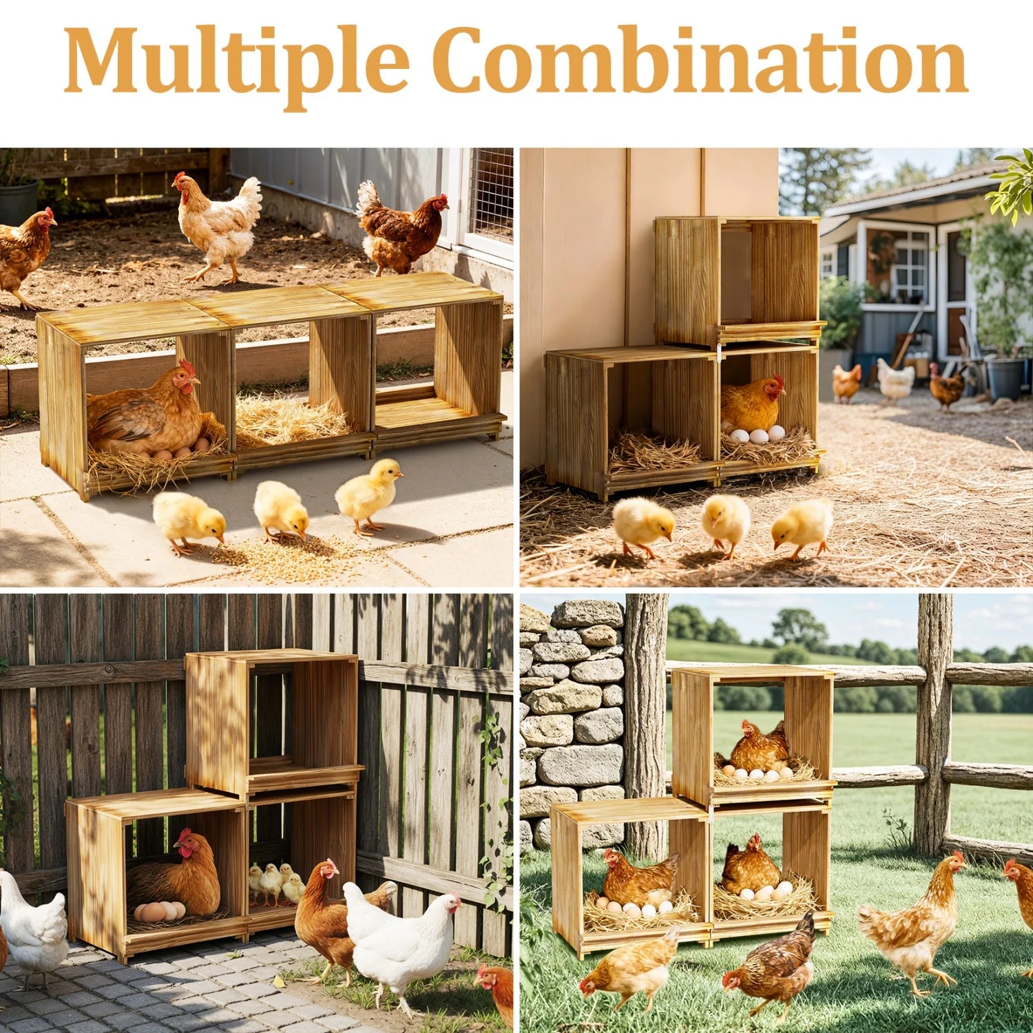 3-Compartment Pine Wood Chicken Nesting Box